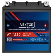 Аккумулятор VEKTOR Plus VT CT1230 (YTX30L-BS, YB30L-B)