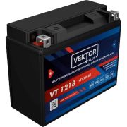 Аккумулятор VEKTOR Plus VT1218 (YTX20-BS)