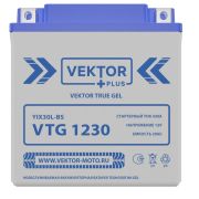 Аккумулятор Вектор VEKTOR VTG1230 (YTX30L-BS)